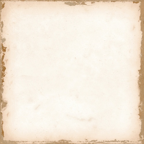  278029422 Casablanca White
