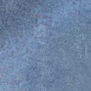  5011229010 Dyroy Blue