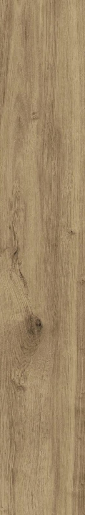 New Derby Betulla Naturale Rett