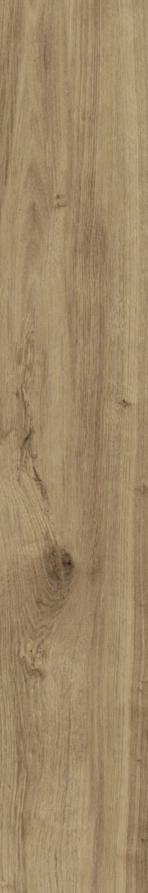  New Derby Betulla Naturale Rett
