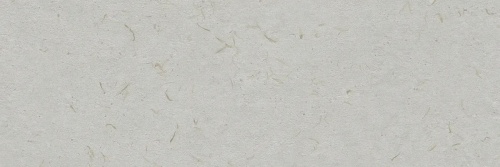  Botanical Savia