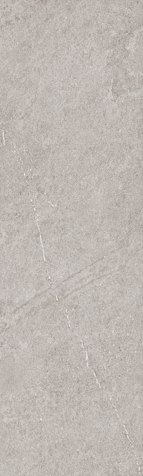  484 Grey MATT
