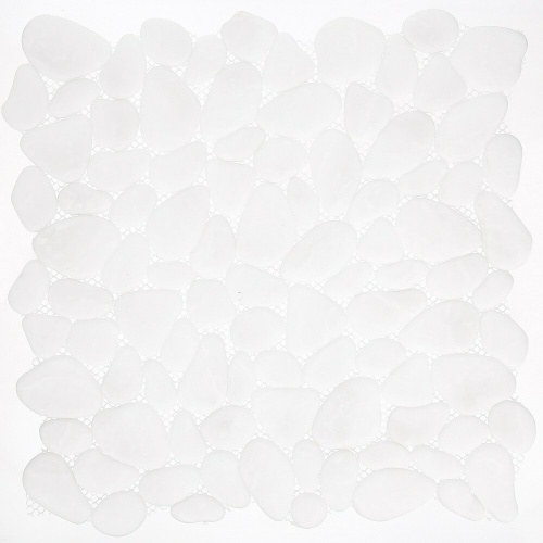  AGPL-ICE