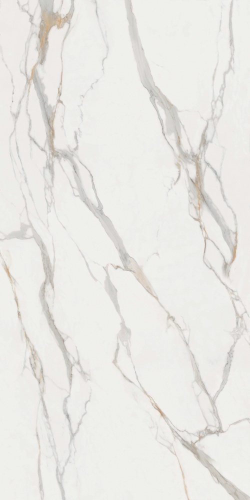  Calacatta Oro B Satin