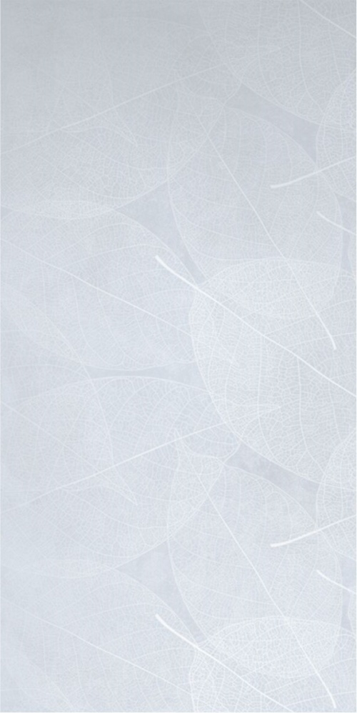  Eleganza Sky Arte Carving