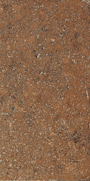  1006798 Pomposa Ambra