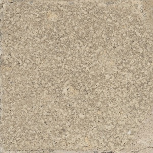  1006795 Pomposa Argilla