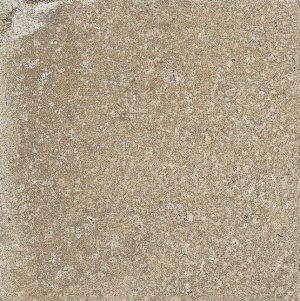 1006803 Pomposa Argilla