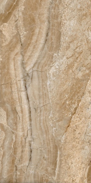  Bolonia Crema
