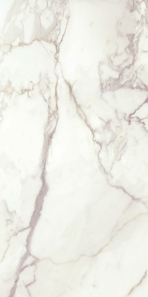  Capachino White