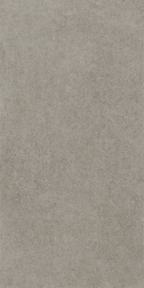  610010004079 Космос Грэй Рет