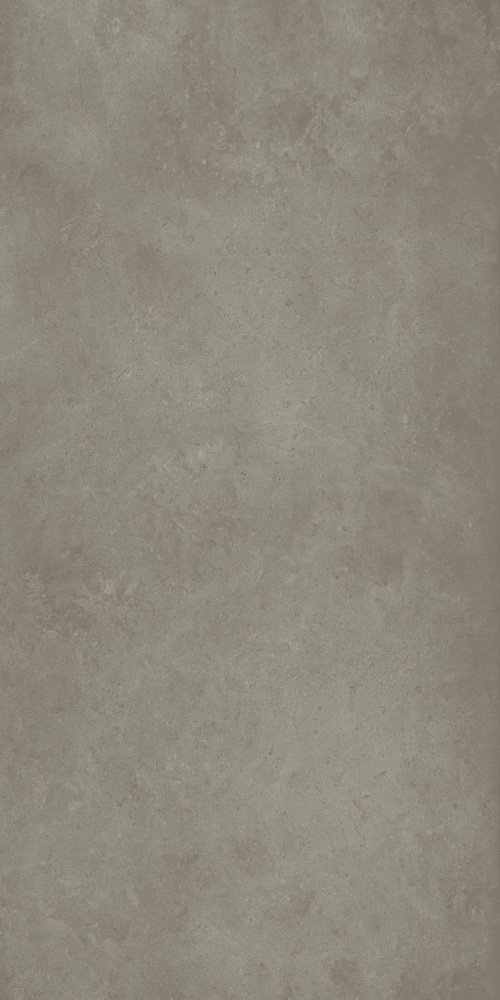  610010004101 Фоссил Блэк Рет