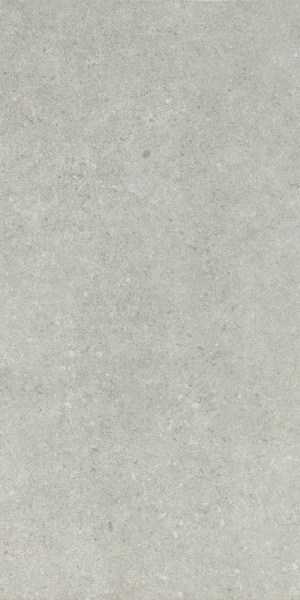  610010000706 Аурис Графит