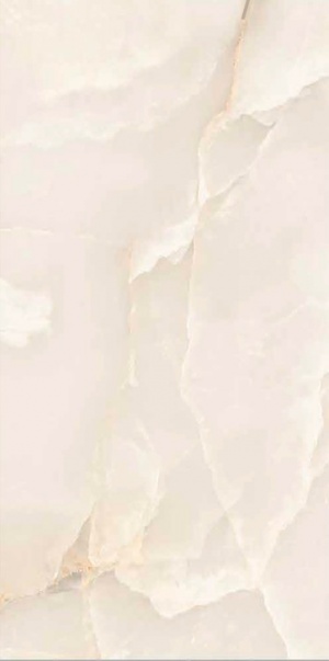  Argos Onyx Oyster Sugar