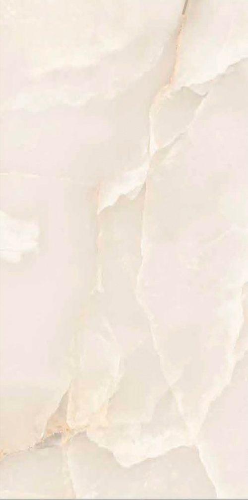  Argos Onyx Oyster Sugar