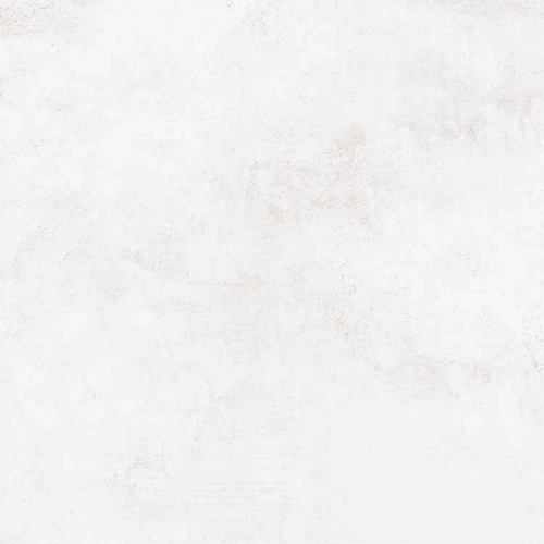 Pizarro White Sugar