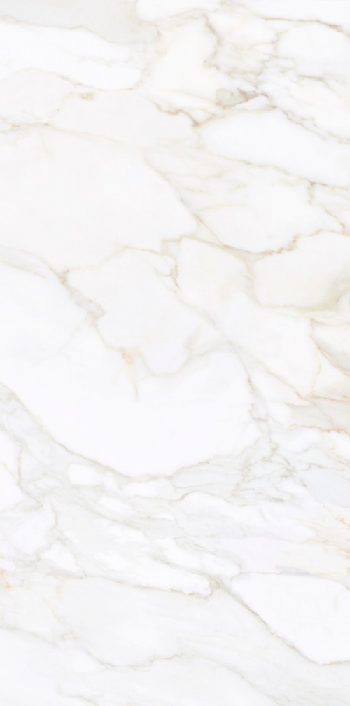  Livorno Gold Silk