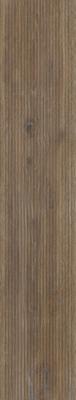  Dec. Mountain Nut R11
