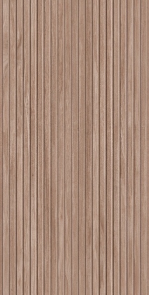  Ribbon Roble