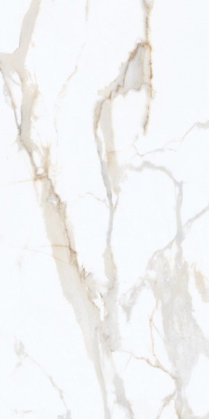  776 Idyllic Calacatta Gold Honed SOFT