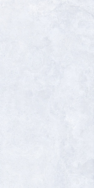  503 Verse White MATT