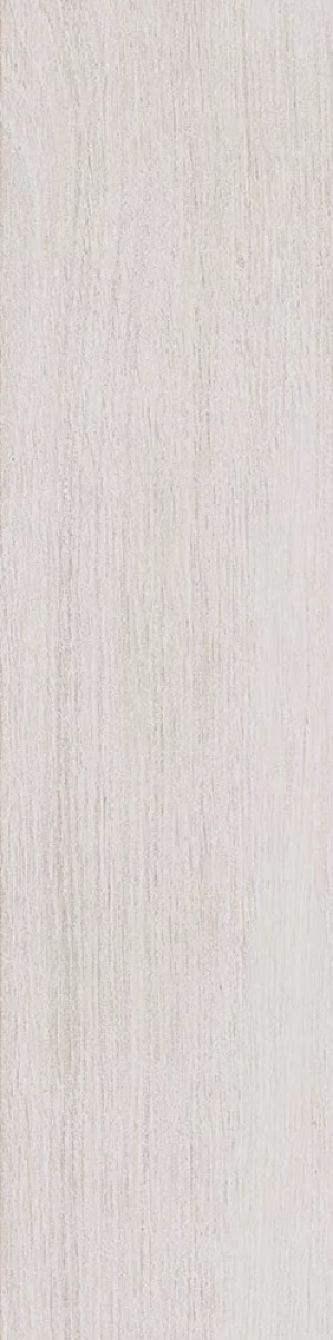  SG400900N Вяз белый матовый