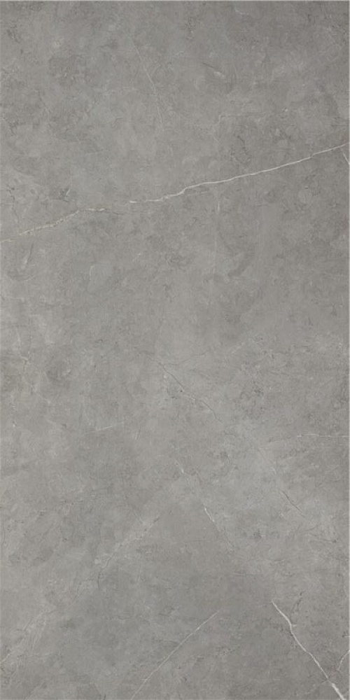  Northon Grey Pulido
