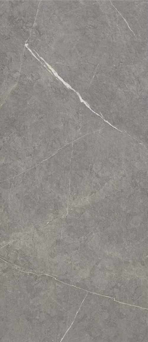  Northon Grey Pulido