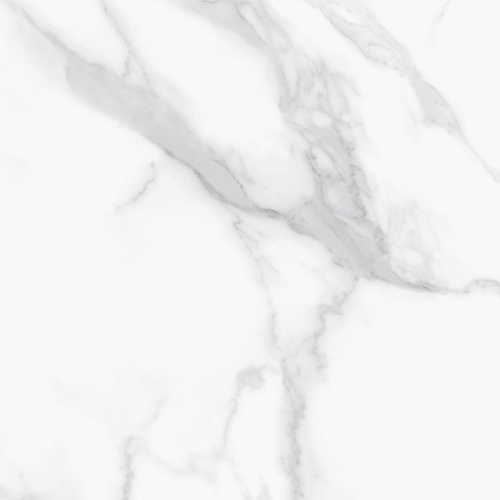  Calacatta Bianco