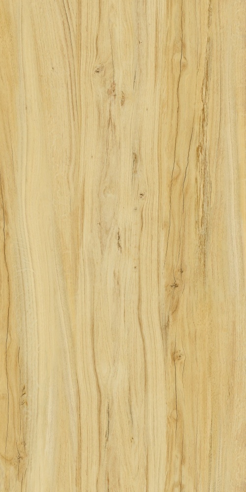  Alleya K-2101/SR