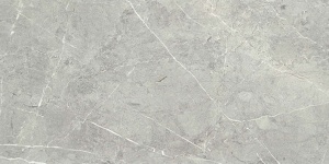  Nevada Grey