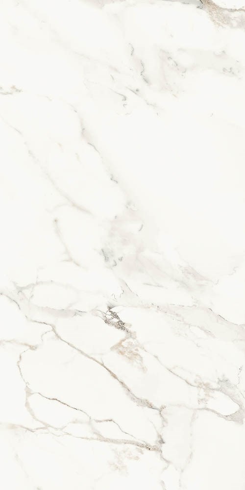  182579 Breccia Capraia AE CAP6 12 LP
