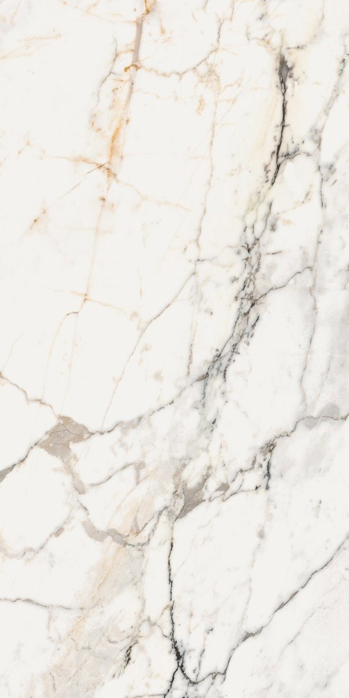  179384 Paonazzetto AE PAO6 12 LP