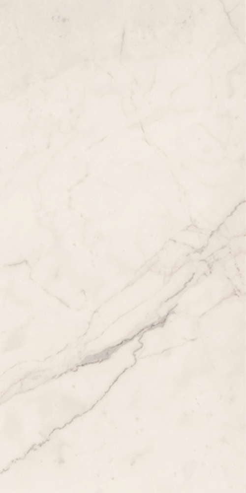  165307 TREX 12W LP