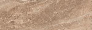 Polaris коричневый 17-01-15-492