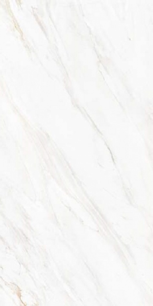  2601 Venato Soft Polished