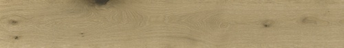  Kora Cognac