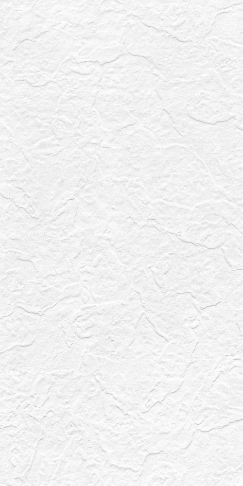  Snow White Stone (punch)