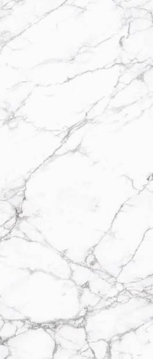  Torso Bianco Polish