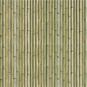  Bamboo Green