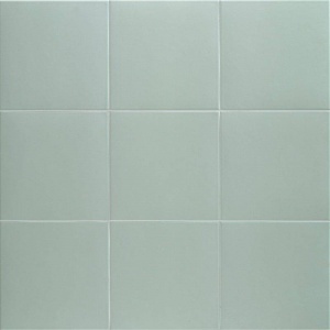  PT03703 Technical Aloe