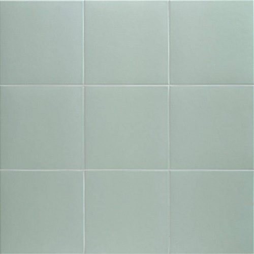  PT03703 Technical Aloe