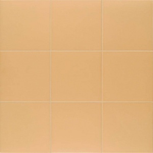  PT03670 Technical Tangerine