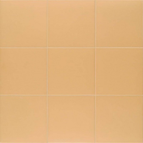  PT03670 Technical Tangerine