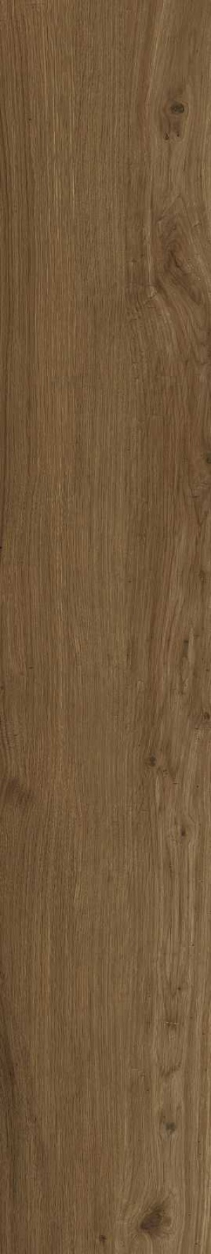  M5SH Treverklook Walnut