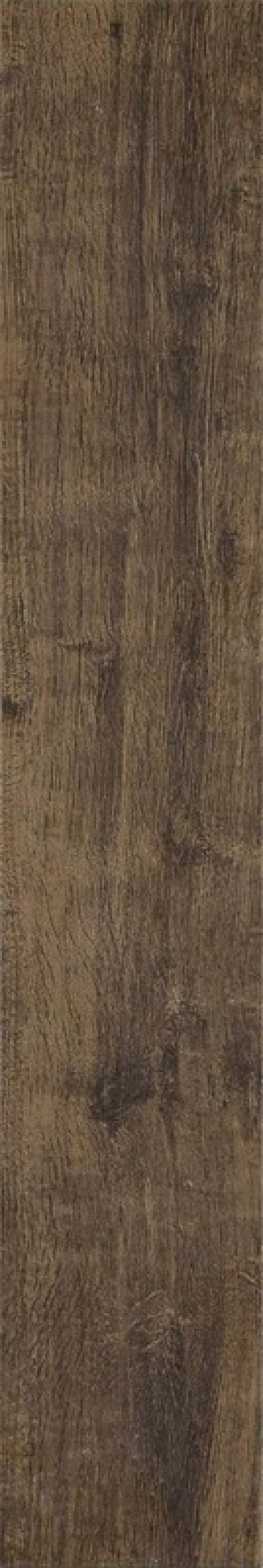  MLA4 Treverkway Quercia