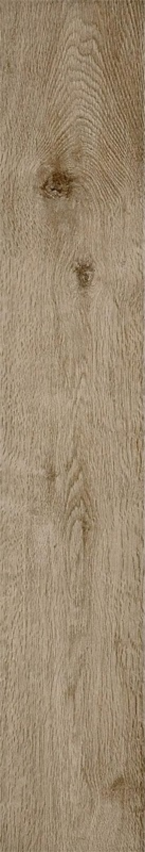 MLA2 Treverkway Rovere