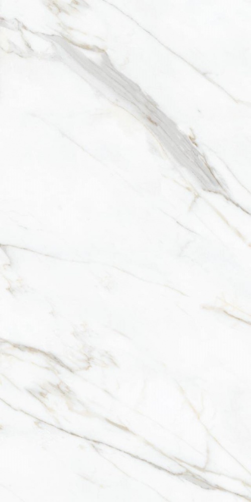  Calacatta White Gold POL