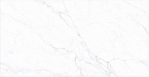  Carrara Bianco POL