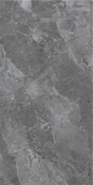  Cosmo Grey POL RD189P026A